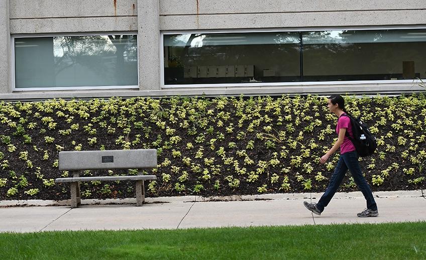 student walking on campus